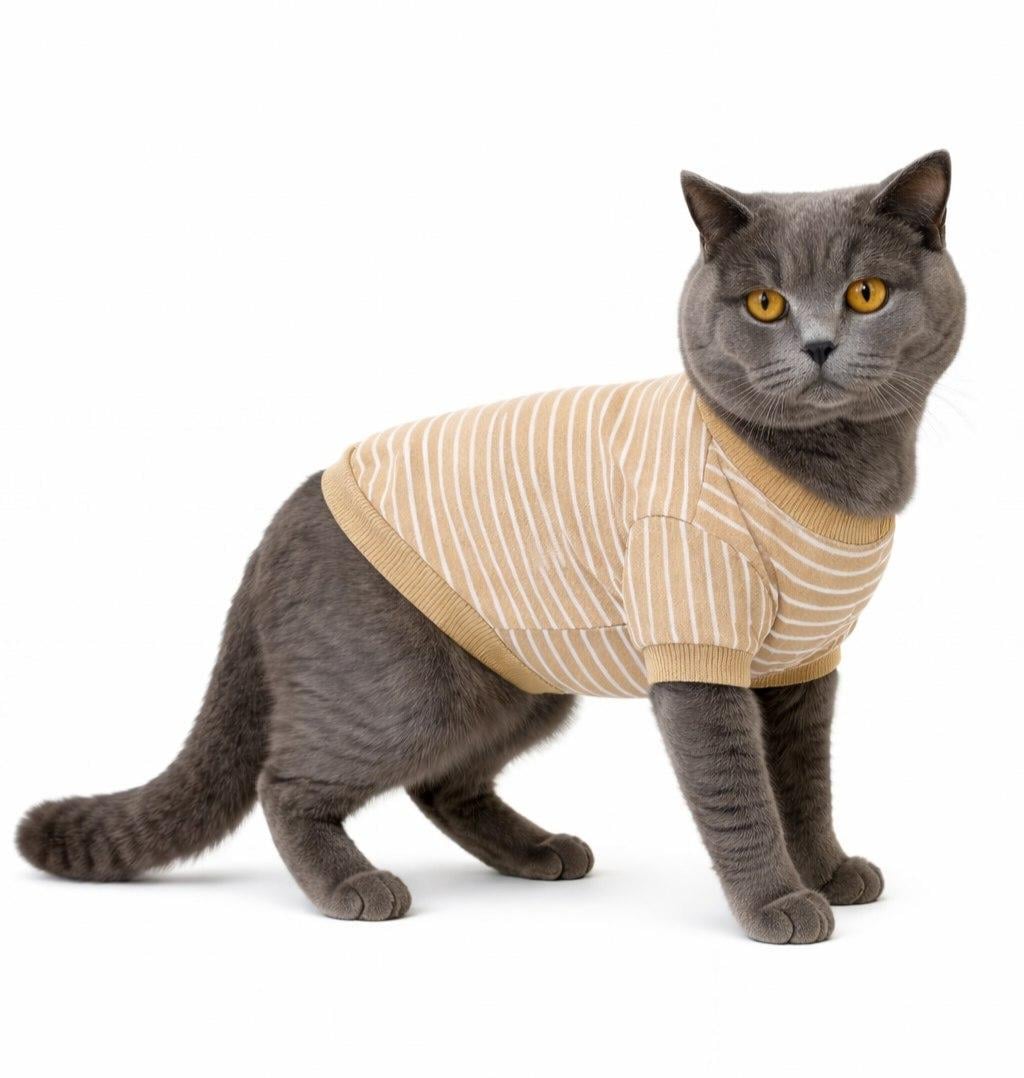 Кофта для котів Diego Смужка р. 5 Бежевий (124182214) Кофта для котів Diego Смужка р. 5 Бежевий (124182214)