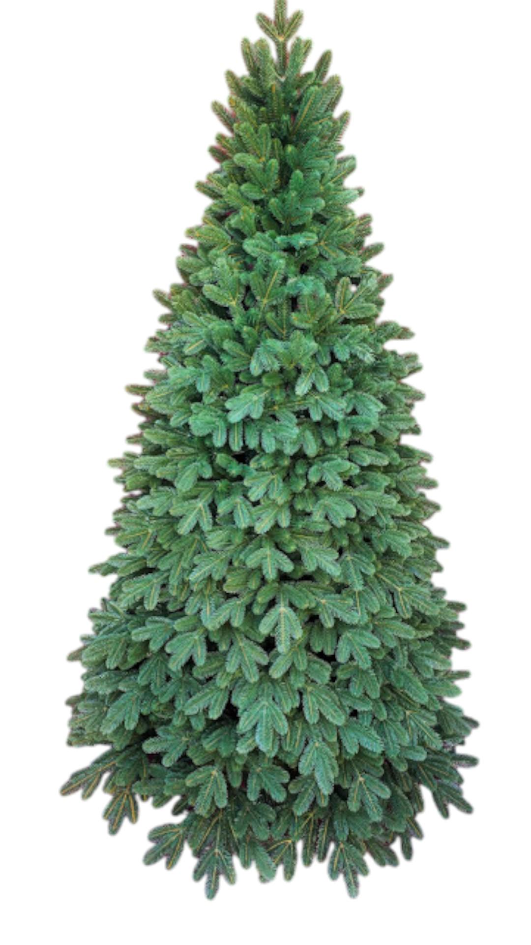 Искусственная елка Рояль литая на крабах и металлической подставке с самораскладным механизмом 2,1 м Зеленый (147-41-Рояль-210) Искусственная елка Рояль литая на крабах и металлической подставке с самораскладным механизмом 2,1 м Зеленый (147-41-Рояль-210)