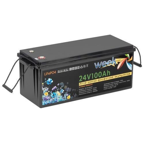 Тяговый аккумулятор Weekender FT24100 24V 100A/h LiFepo4