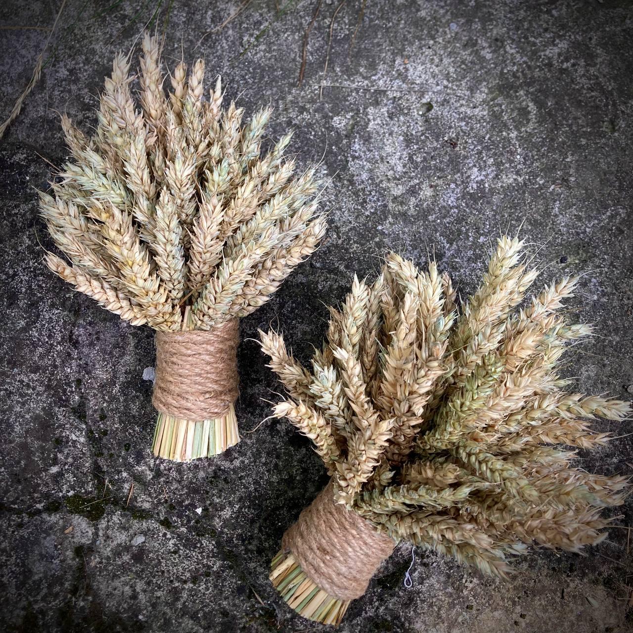 Рождественский дидух из пшеничных колосьев 20 см (1893299102) - фото 2