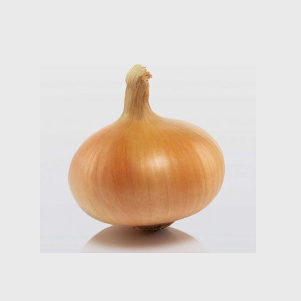 Цибуля сівок BroerB.V. Штутгартен Стенфілд 10-21 мм 100 г (2686668171)