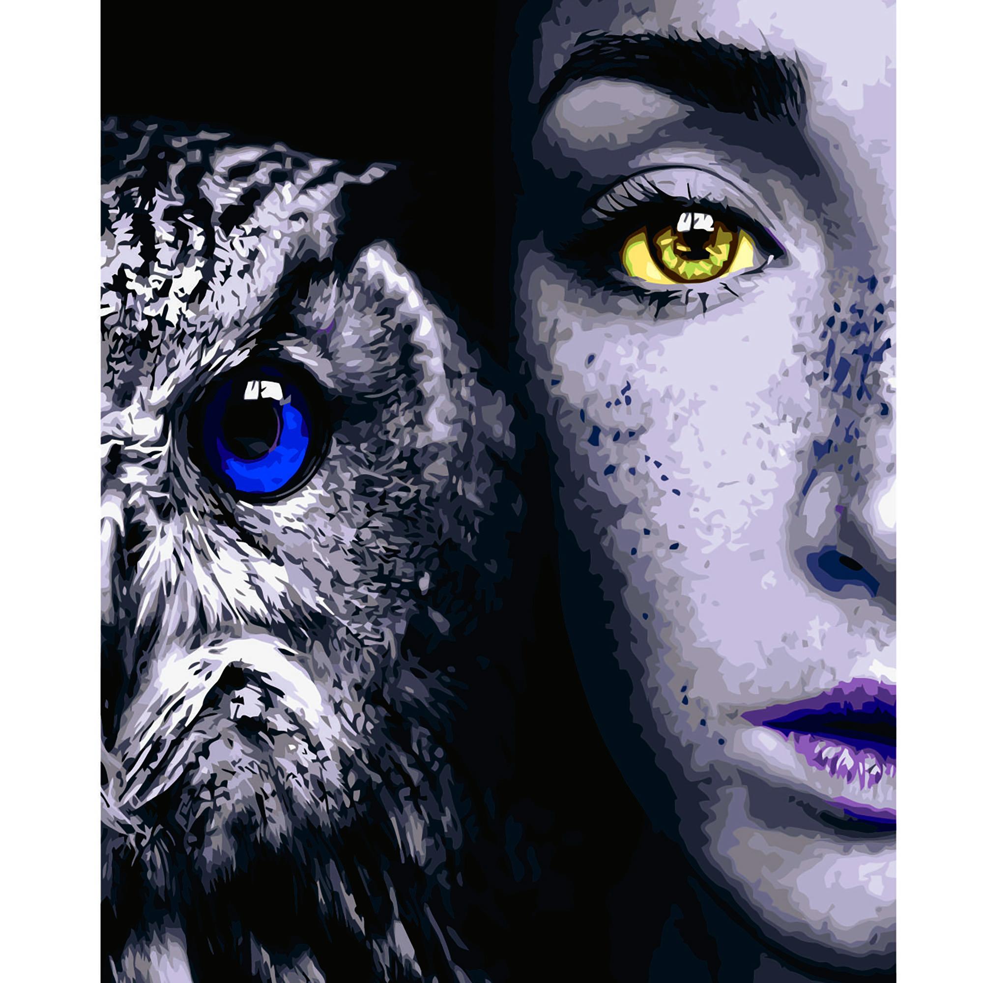 Картина по номерам Strateg Девушка с совой 40x50 см (VA-2637)