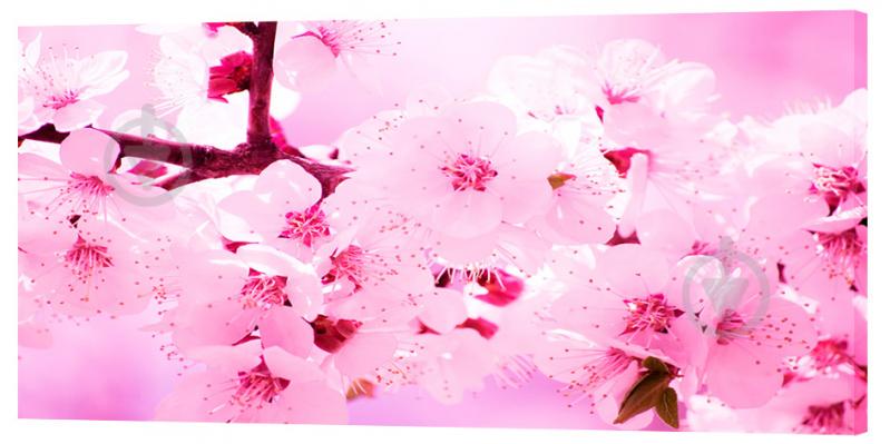 Картина на холсте Декор Карпаты Цветы 50х100 см (c8)