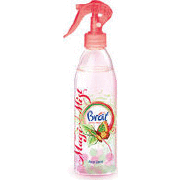 Освежитель воздуха Brait Aqua Spray Oriental Garden 425 мл (4564)