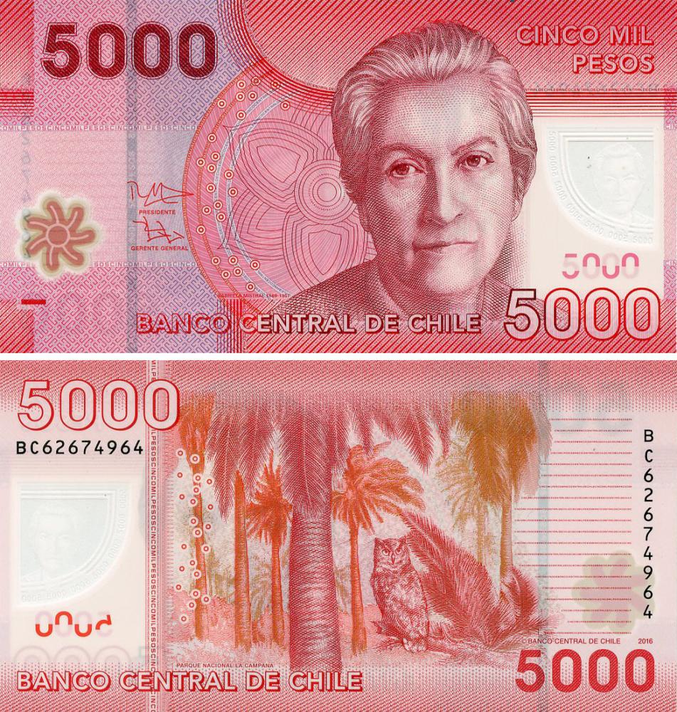 Коллекционная банкнота Чили 5000 песо 2016 полимер UNC Птица-Сова (P163)