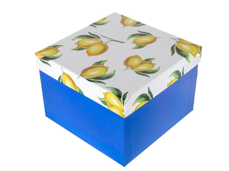 Набір на 2 персони чайних чашок Lefard Сицилійський лимон порцелянових з блюдцем 220 мл (922-093) - фото 5 Набір на 2 персони чайних чашок Lefard Сицилійський лимон порцелянових з блюдцем 220 мл (922-093) - фото 5