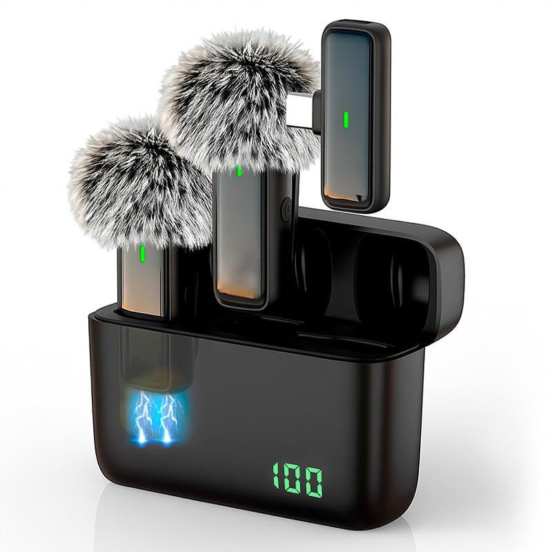 Микрофон беспроводной петличный RSX с зарядным кейсом/для телефона/одежда/для записи видео 2 шт. (SX6-Type-C)