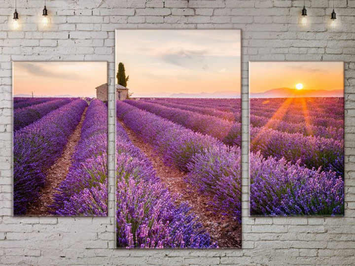 Картина модульная 3 части ArtStar 120х180 см ADNA0110