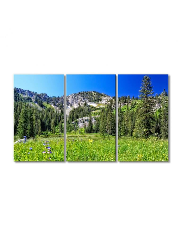 Картина модульная Природа горы елки 3 модуля 80x120 см
