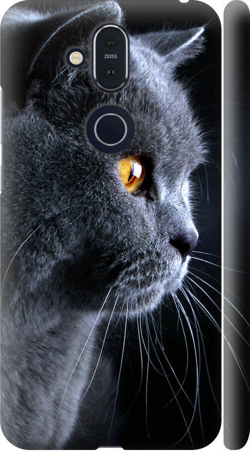 Чехол на Nokia 8.1 Красивый кот (3038m-1620-42517)