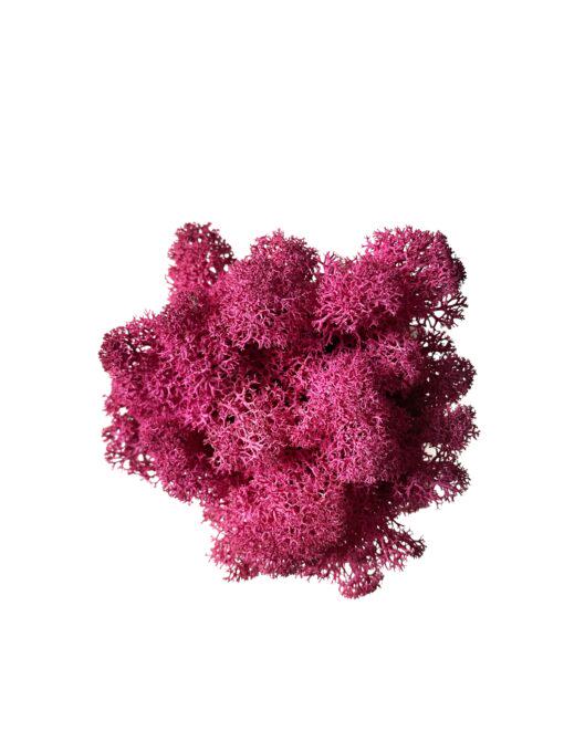 Мох ягель стабілізований 15 гр. Рожевий - фото 2 Мох ягель стабілізований 15 гр. Рожевий - фото 2