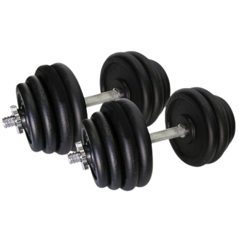 Гантели сборные Newt Home по 31,5 кг 2 шт. (TI-968-745-31-1-2_newt_NM) - фото 1 Гантели сборные Newt Home по 31,5 кг 2 шт. (TI-968-745-31-1-2_newt_NM) - фото 1