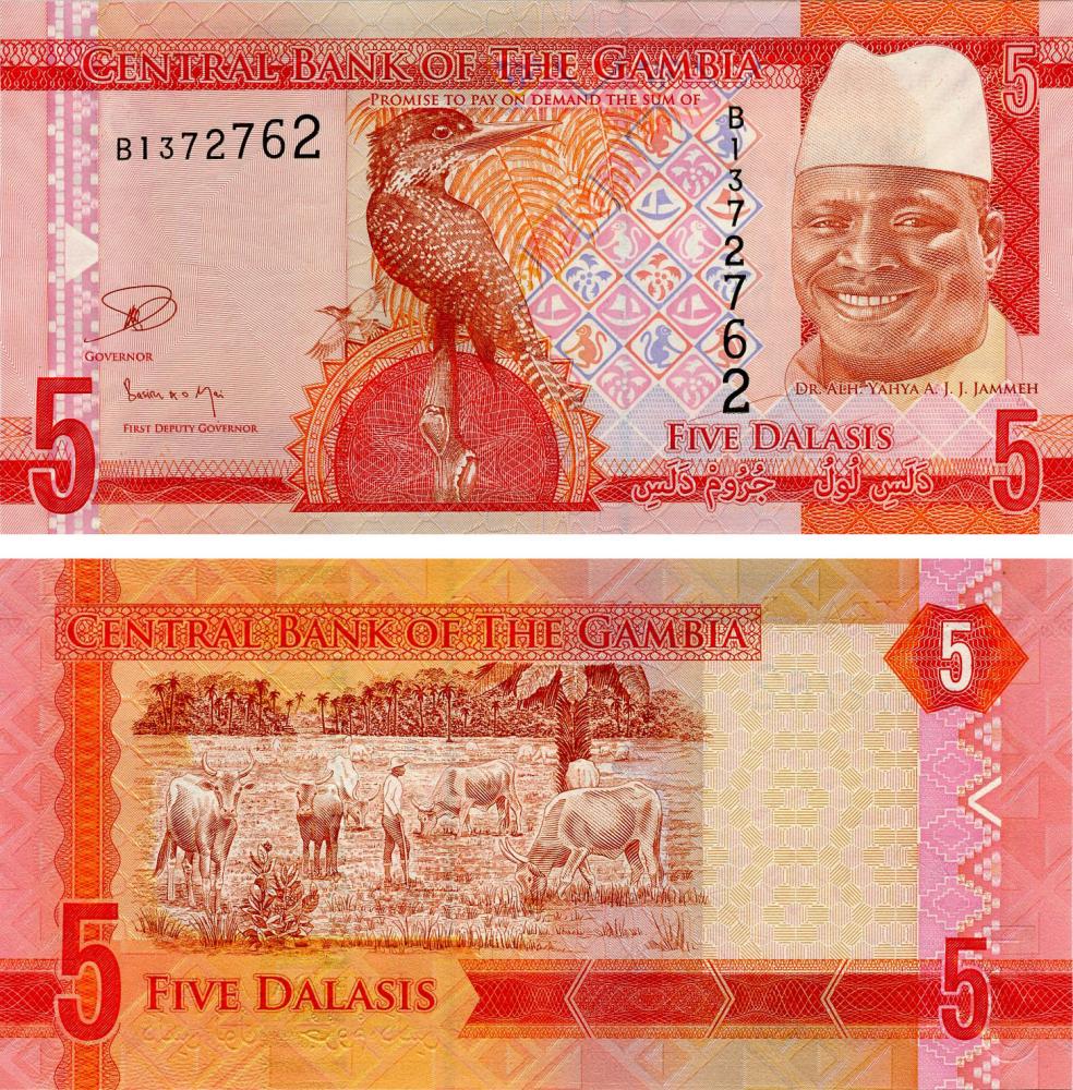 Колекційна банкнота Гамбія 5 даласі 2015 UNC P31 (Б15887)
