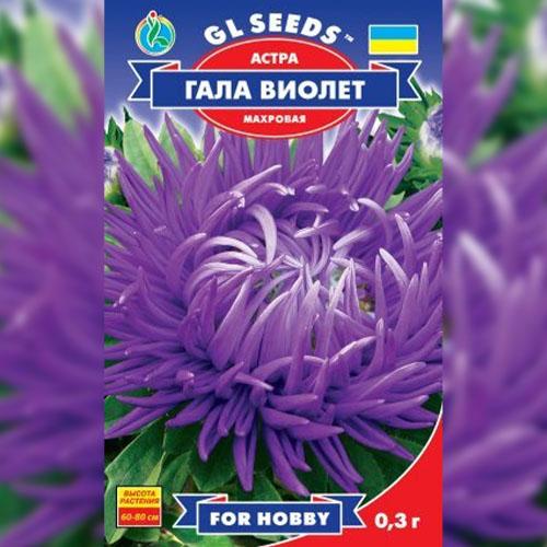 Семена Астра Florium Гала Виолет (17433) - фото 2 Семена Астра Florium Гала Виолет (17433) - фото 2