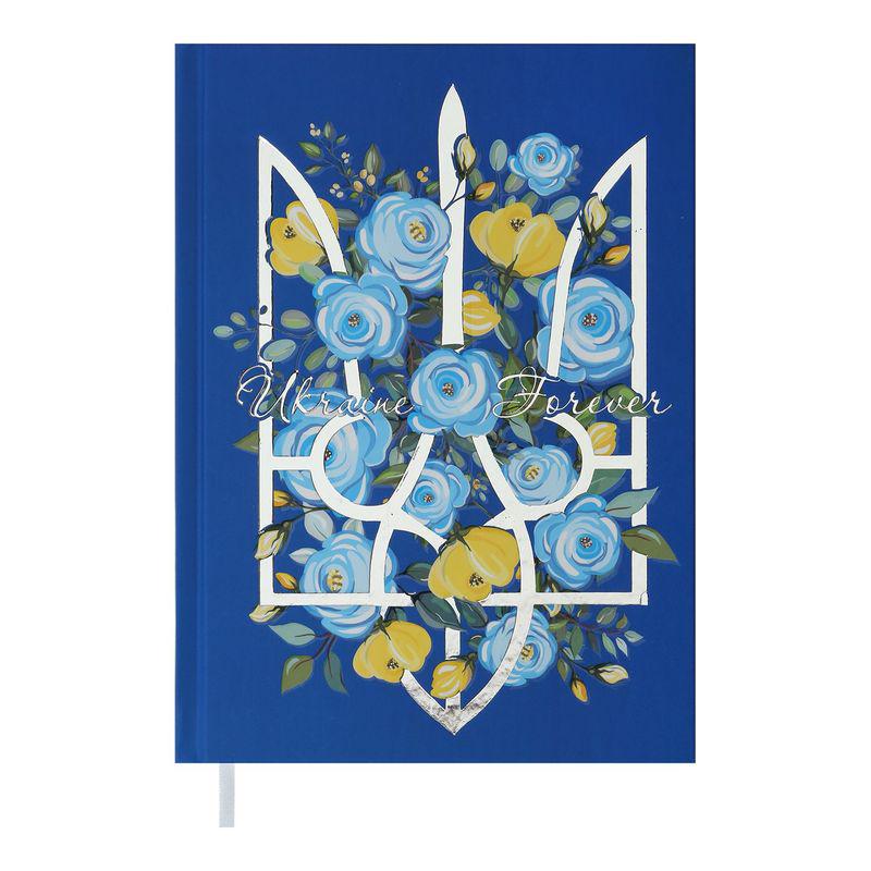 Дневник недатированный Buromax Free А5 288 стр. Синий (BM.2064-02)