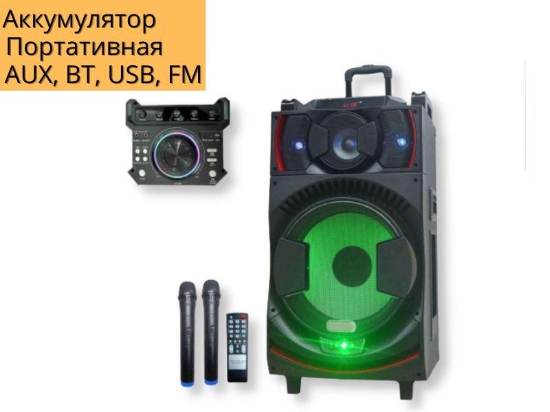 Акустична система XPRO UF-1151-DT акумуляторна 250 Вт USB/SD/FM радіо/Bluetooth/мікрофон/ДК (UF-1151-DT) - фото 6