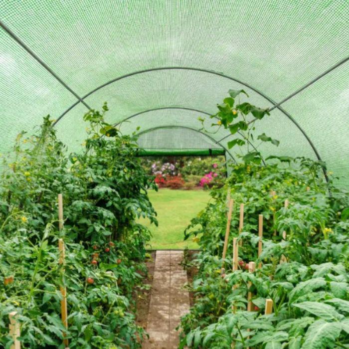 Парник теплиця Mirpol 3x2x2 м (4428) - фото 5