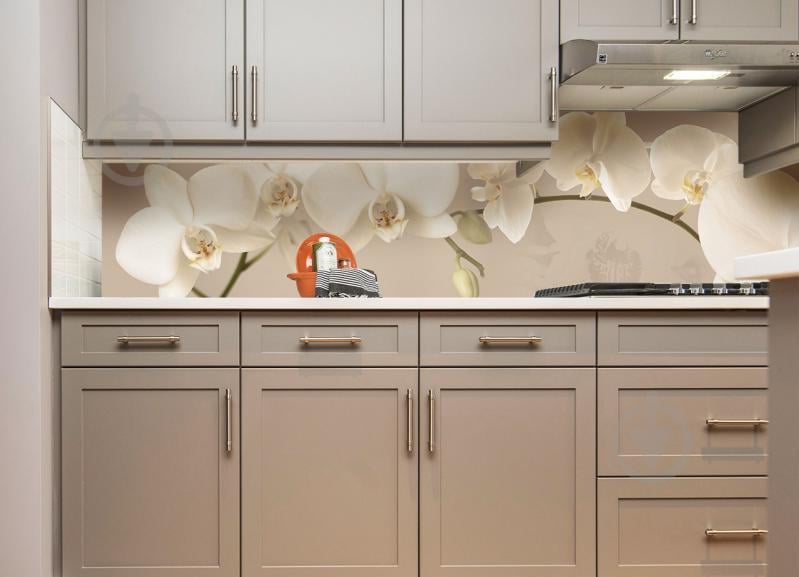 Наклейки фартух кухонний Zatarga Орхідея беж 600х2500 мм Бежевий (Z180098/1) Наклейки фартух кухонний Zatarga Орхідея беж 600х2500 мм Бежевий (Z180098/1)