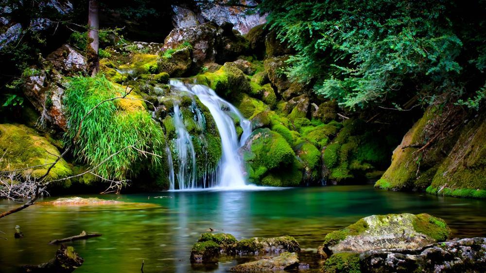 Картина на полотні Водоспад 50х70 см (N159)
