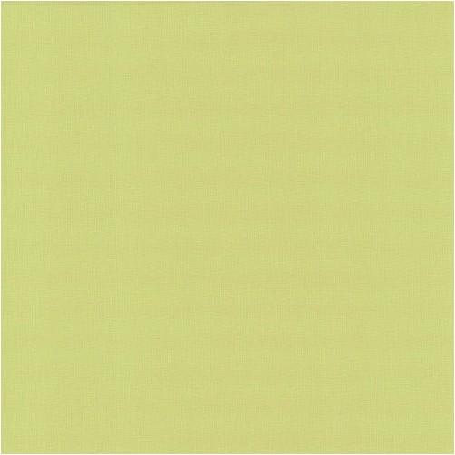 Обои виниловые на флизелиновой основе 0.53х10.05 P+S International Open Air (13001-30)