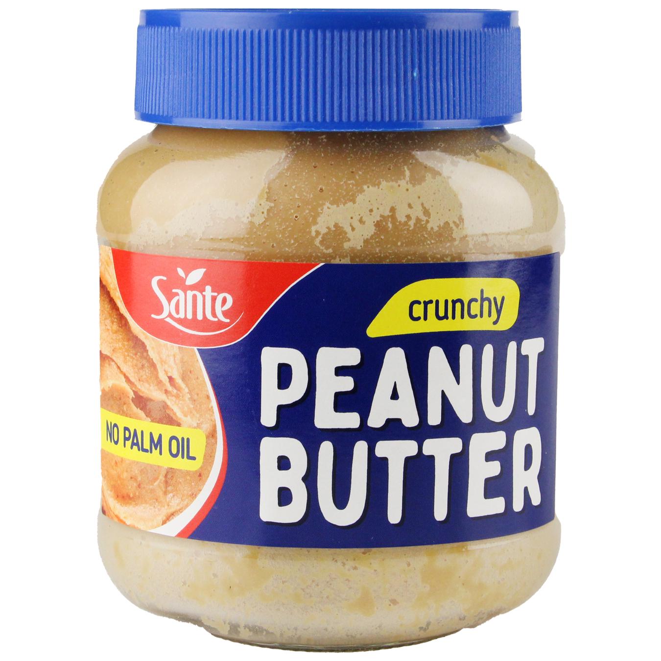 Арахісова олія Go On Nutrition Sante Peanut Butter Crunchy 350 g