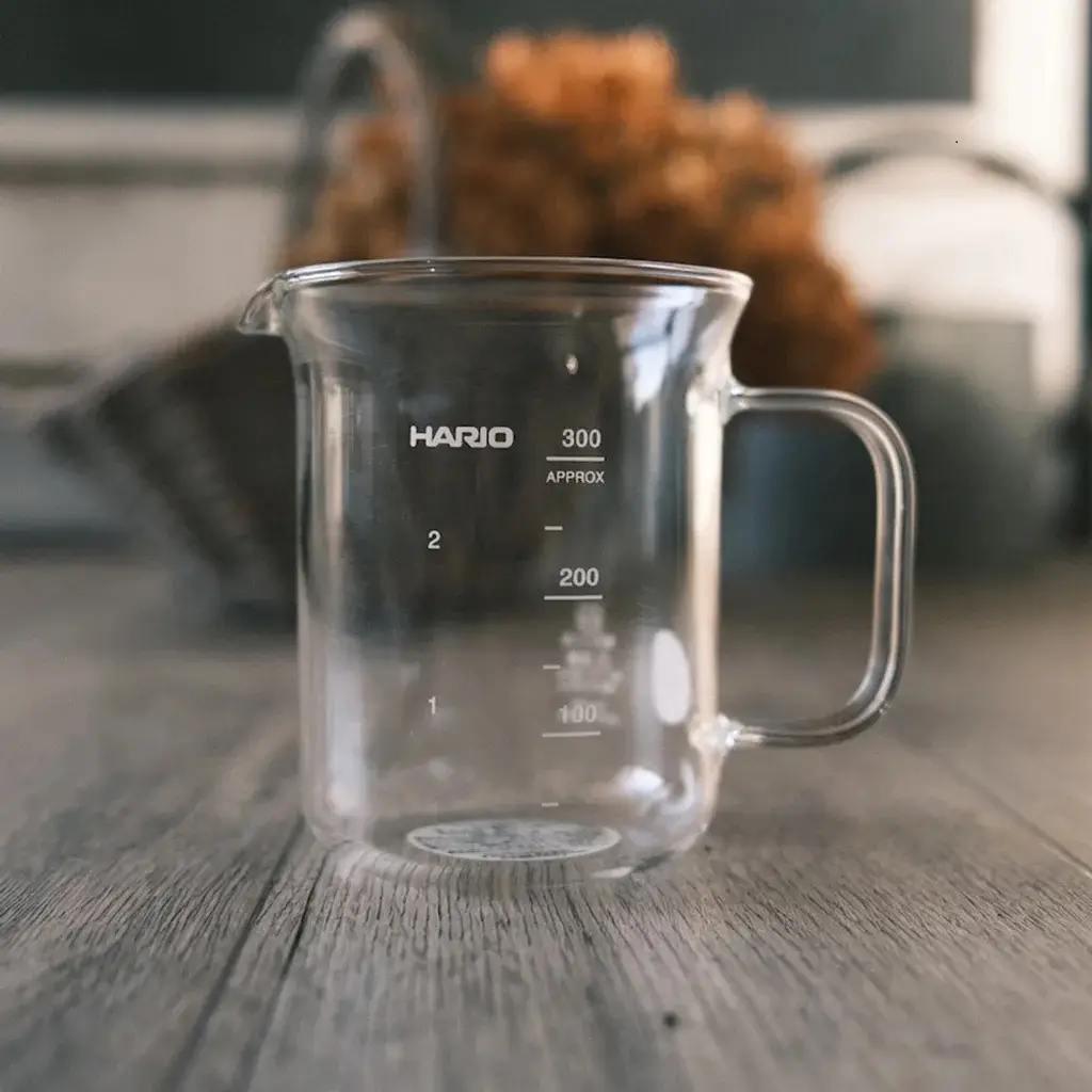 Графин-стакан Hario жаропрочное стекло 300 мл (BV-300) - фото 5 Графин-стакан Hario жаропрочное стекло 300 мл (BV-300) - фото 5