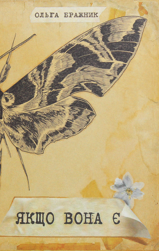 Книга Ольга Бражник "Якщо вона є" (4439977)