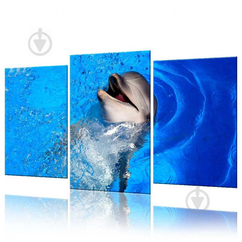Модульная картина Дельфин ADJ0021 размер 120 х 180 см