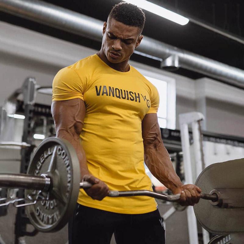 Футболка VQH M Желтый (6610)