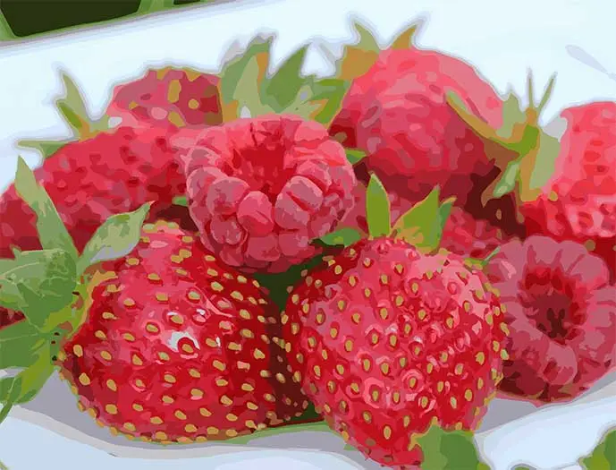 Картина по номерам ART CRAFT Сочный фейерверк 40x50 см (ACR-B-12004-AC)