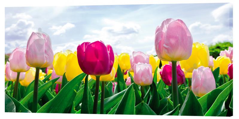 Картина на холсте Декор Карпаты ХХХХХ 50х100 см (c1189)