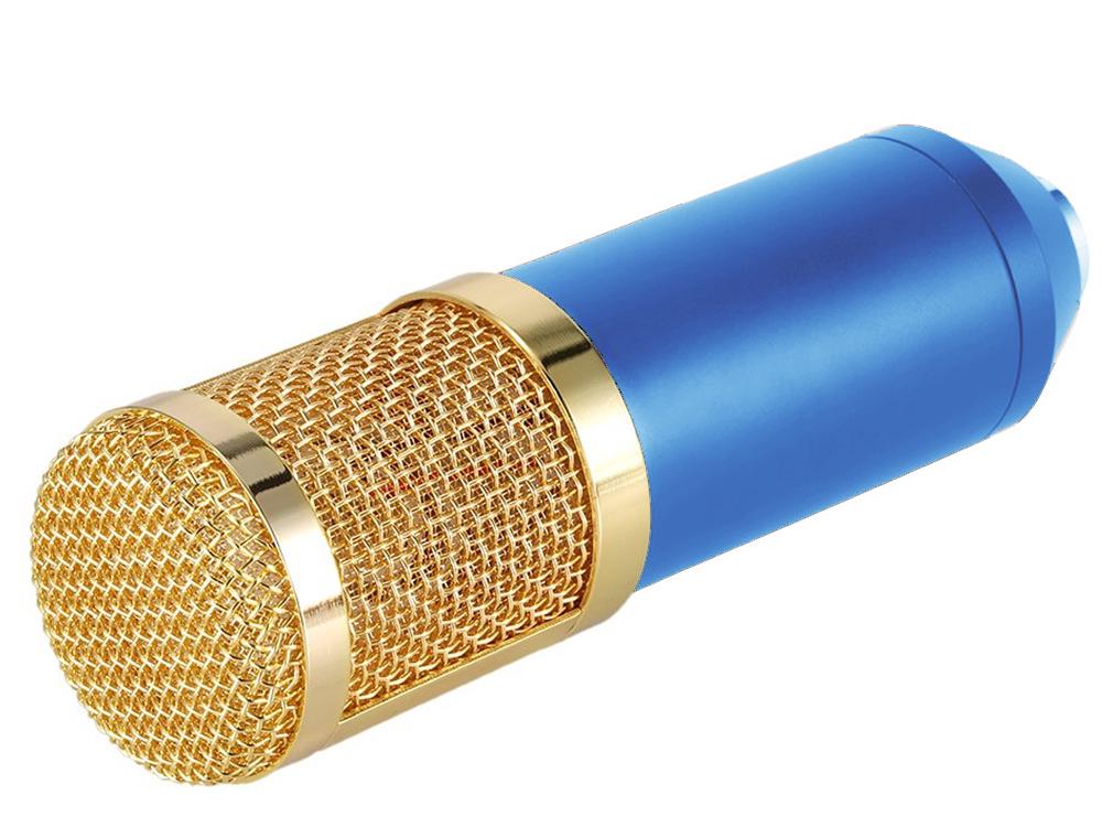 Микрофон Branches BM800 конденсаторный (1004-651-00)