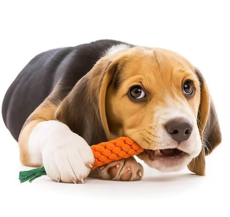 Набір іграшок для собак 16в1 (25384) - фото 7 Набір іграшок для собак 16в1 (25384) - фото 7