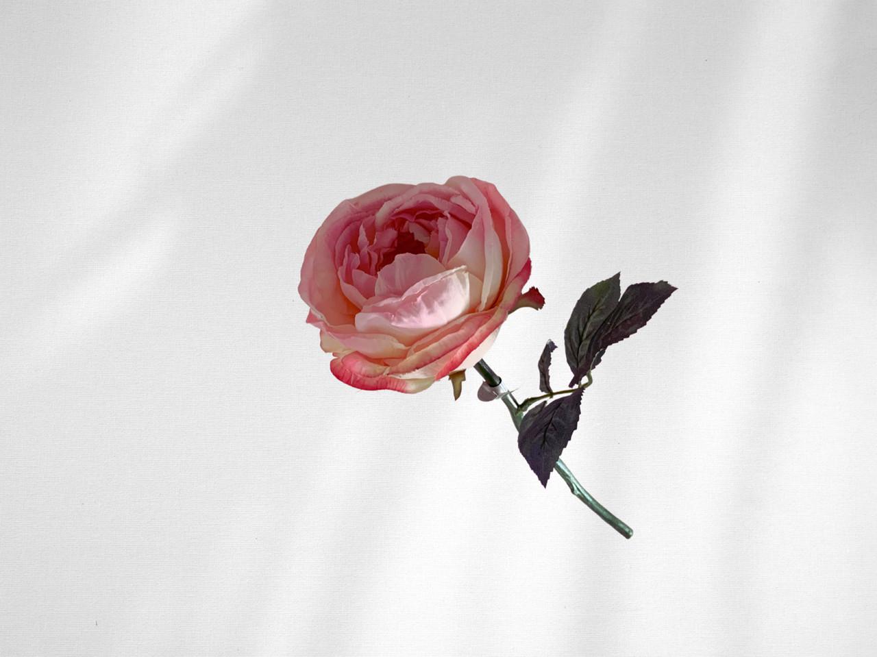 Штучна квітка троянди 33 см Рожевий (997650233)