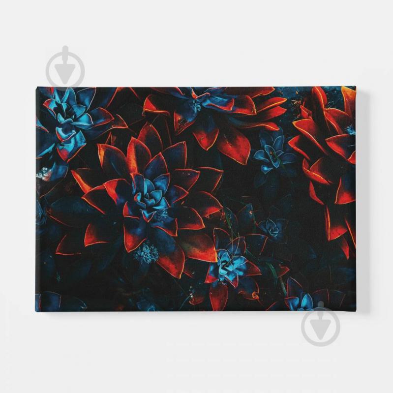 Картина Цветы Malevich Store 30x60 см (K0001)