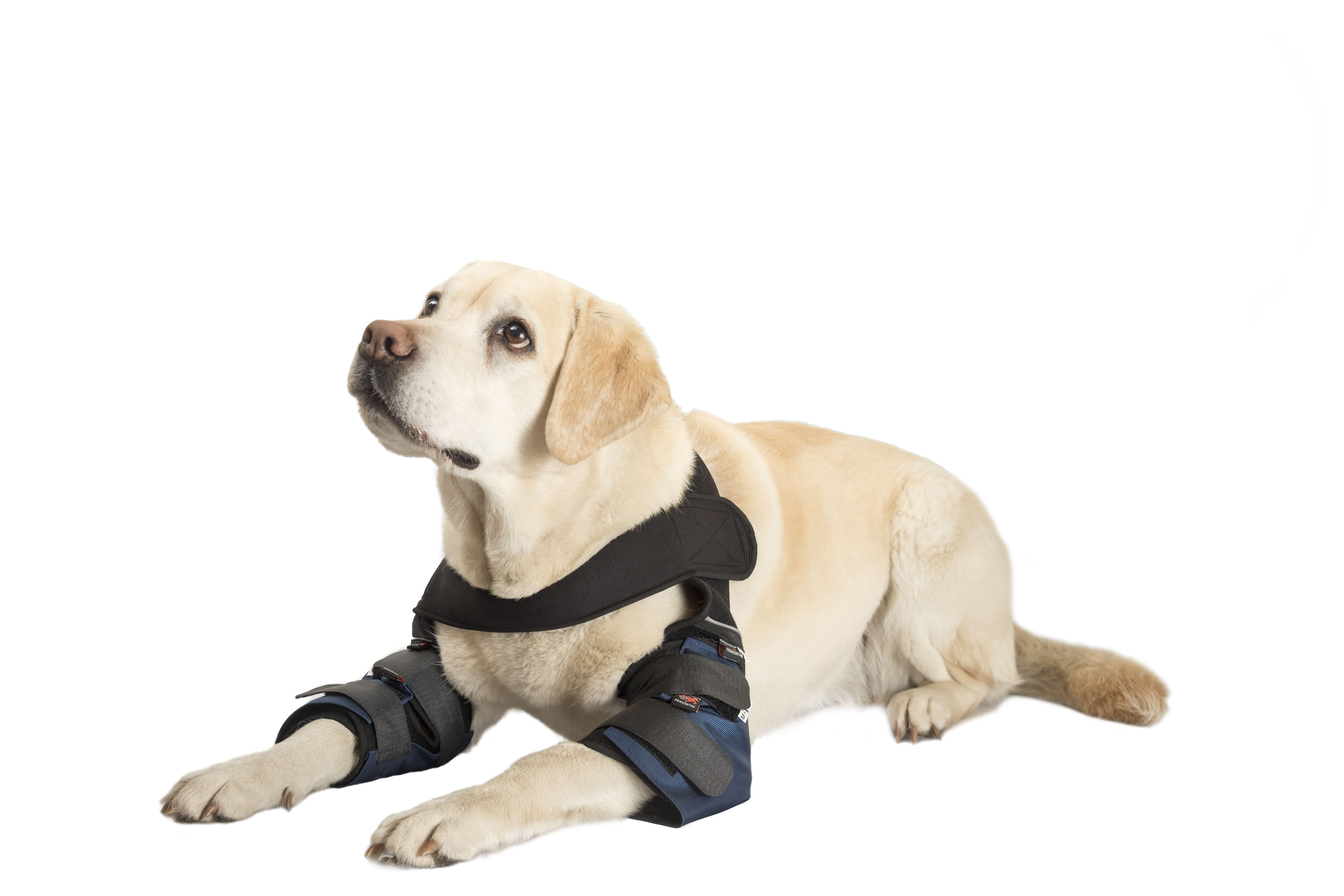 Налокотники для собак Frakishtak М Синий (28339761)