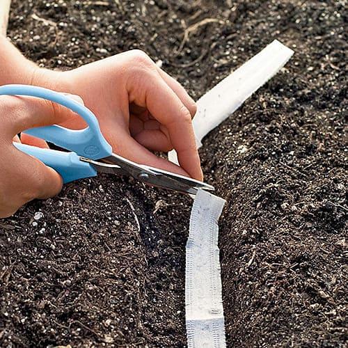 Семена Цибуля Florium Карантанський порей на стрічці 5 м (18357) - фото 3 Семена Цибуля Florium Карантанський порей на стрічці 5 м (18357) - фото 3