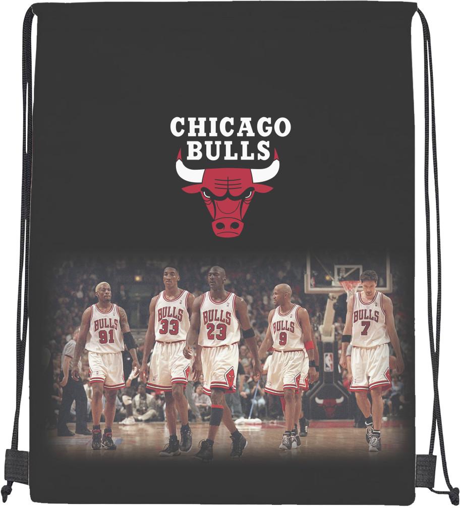 Мішок спортивний Chicago Bulls 4 (20299339)
