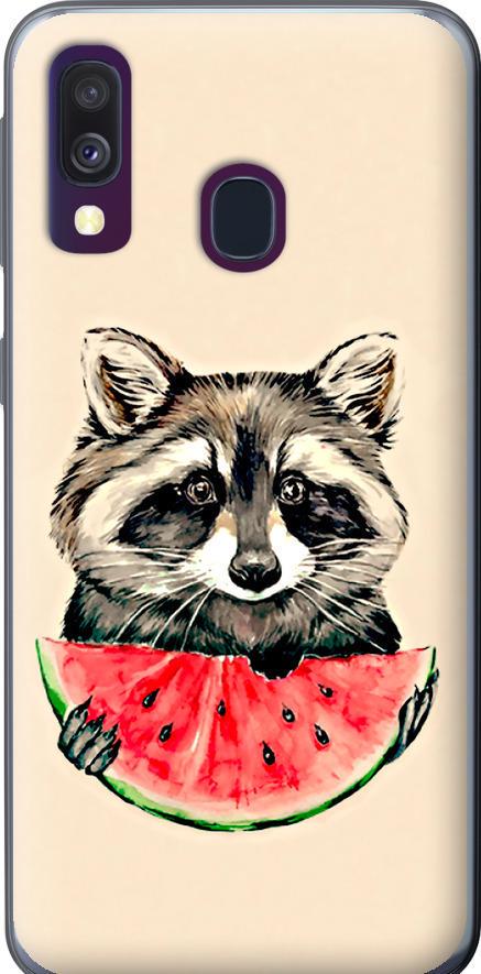 Чехол на Samsung Galaxy A40 2019 A405F Енотик с арбузом (4605t-1672-42517)