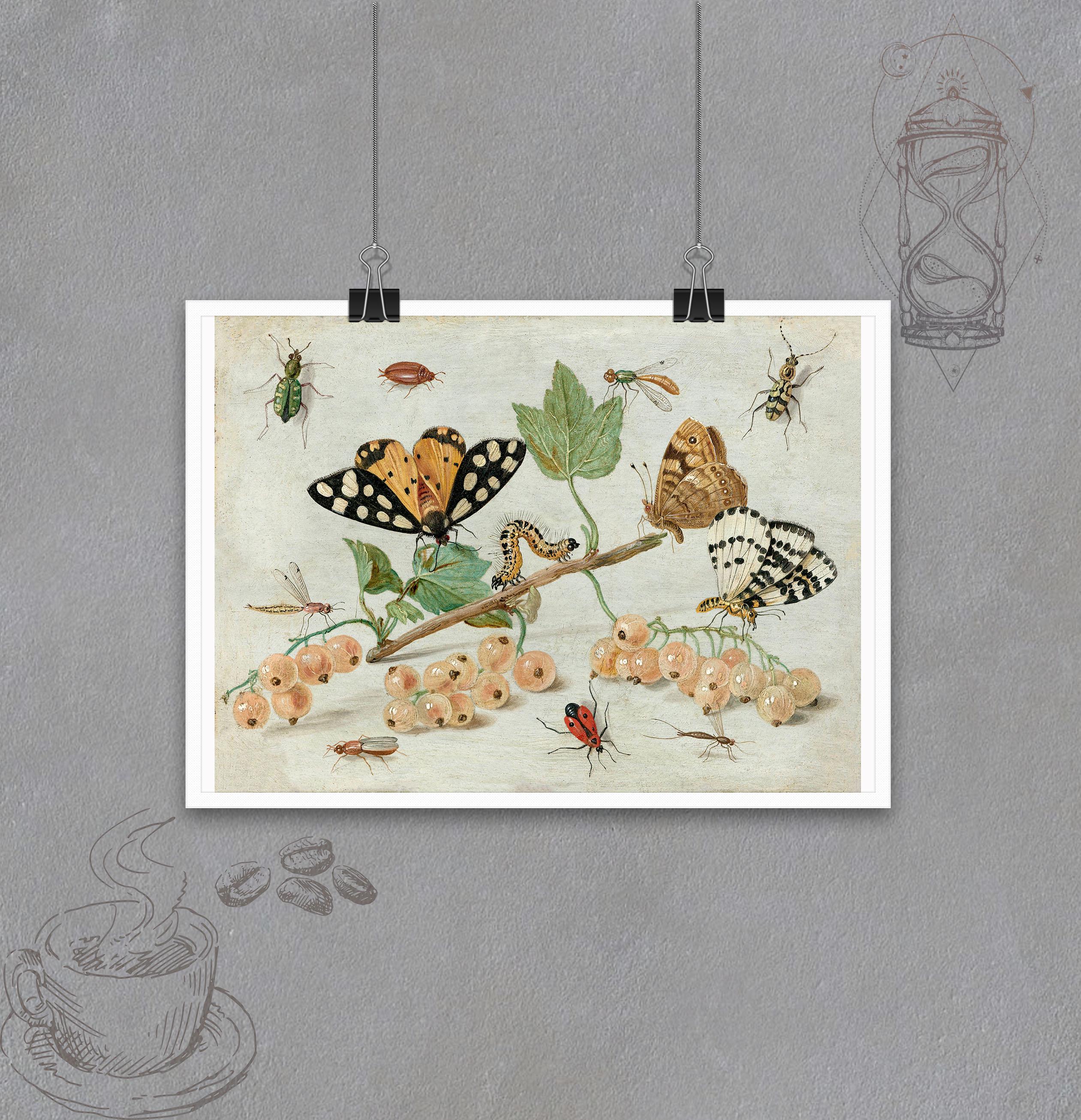 Постер Насекомые и фрукты формат А-2