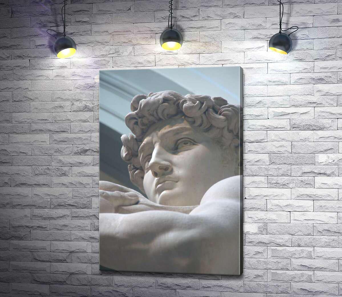 Картина ArtPoster Лицо мраморной статуи Давида 67x100 см Модуль №1 (000119)