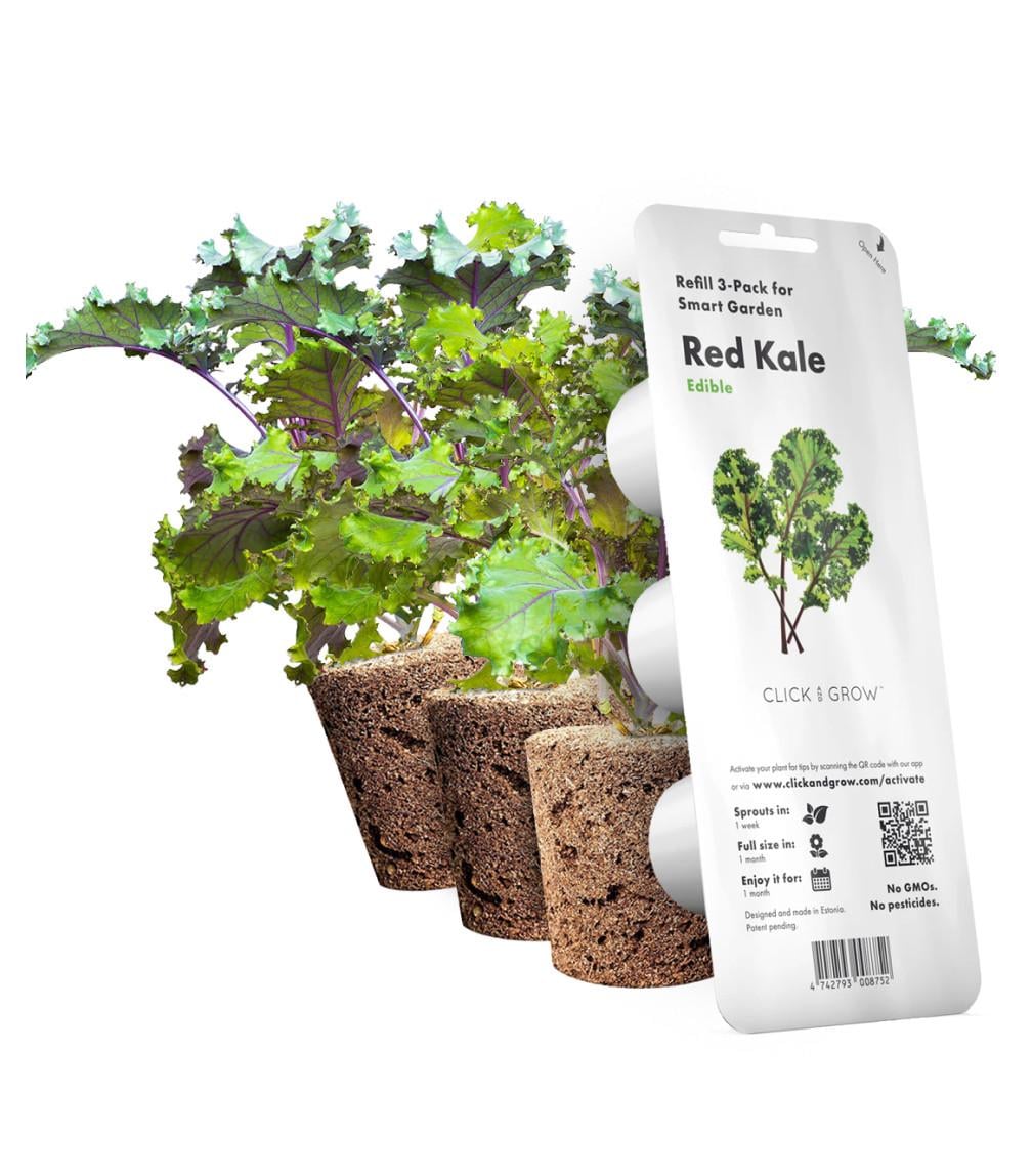 Семена Картридж для умной фермы Click&Grow Красная капуста Кейл (A-013935)