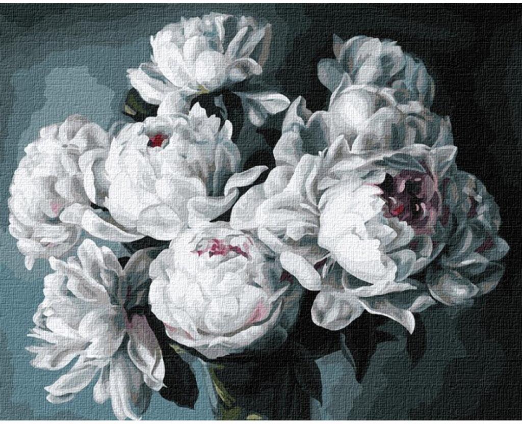 Картина по номерам Идейка Белые пионы худ Диана Тучс КНО3130 холст на подрамнике 40x50 см (1431348523)