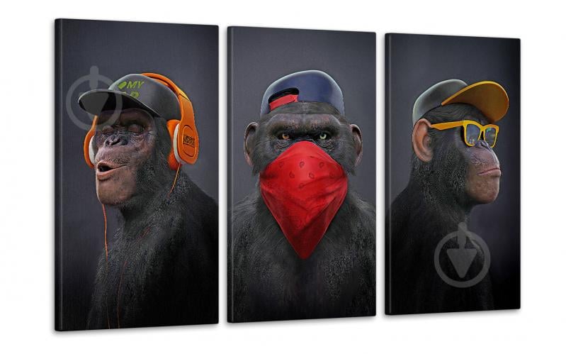 Модульная картина "Три мудрые обезьяны" Art-480_3  (100х53см) Poster-land