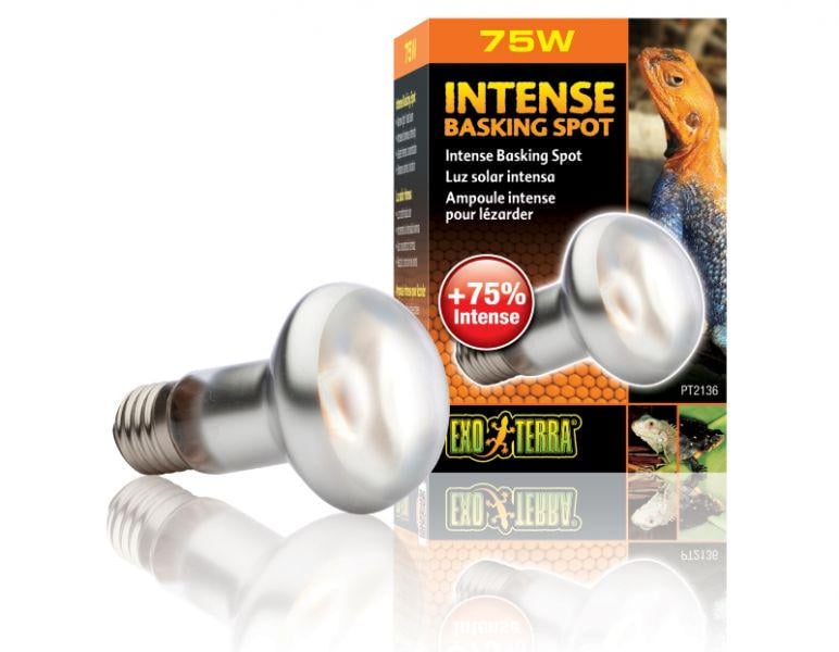 Лампа Hagen Exo Terra Intense Basking Spot S20/75W дневная Е27 для теплолюбивых рептилий (PT2136)