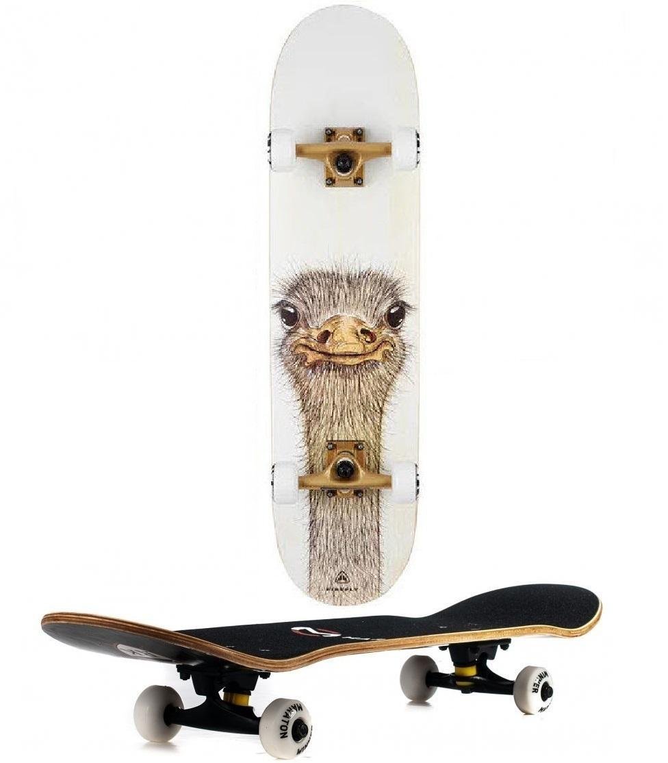 Скейтборд El Primo натуральное дерево Canada трюковой для подростка Pinesky FireFly с росписью Страус - фото 3