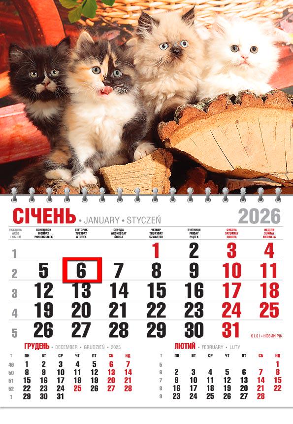 Календар на 2026 р. Офісний економ Муркотіння чотирьох Календар на 2026 р. Офісний економ Муркотіння чотирьох