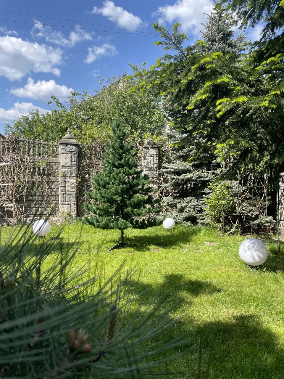 Елка искусственная HVOYA новогодняя Classic 220 см Зеленый (400/220/G) - фото 2 Елка искусственная HVOYA новогодняя Classic 220 см Зеленый (400/220/G) - фото 2