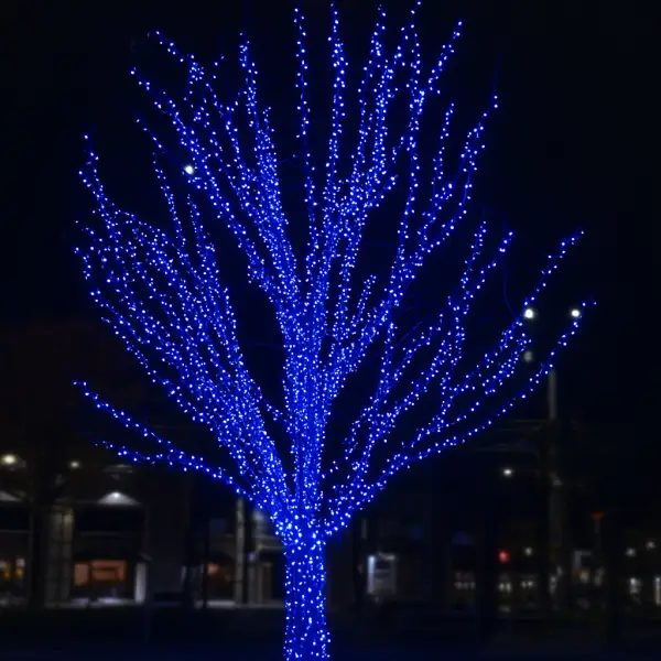 Гірлянда Нитка вулична 300 LED 30 м від мережі Чорний/Синій (CF300L30MBBL) - фото 2