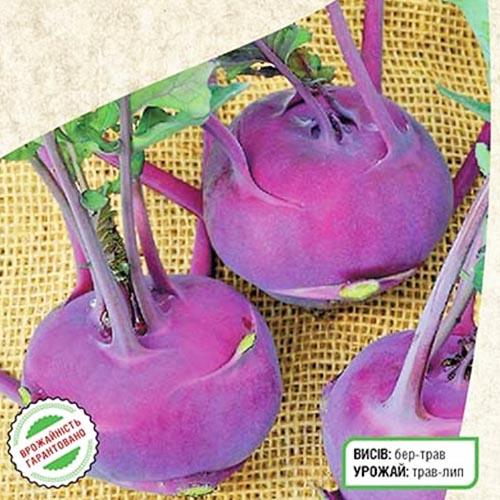 Семена Капуста Florium кольрабі Віденська синя (7505) - фото 2 Семена Капуста Florium кольрабі Віденська синя (7505) - фото 2